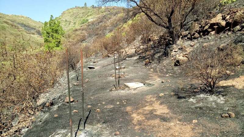 De las colmenas sólo quedaron como restos el techo (Foto TA)
